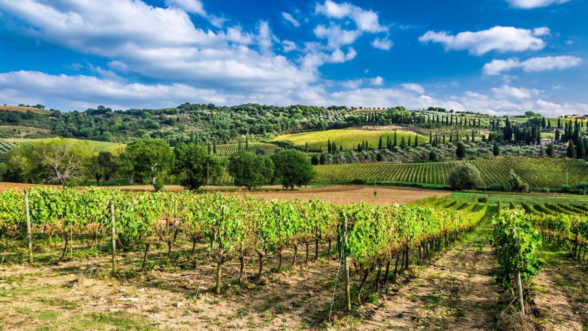Terre Gialle - La Val D'Orcia Nascosta Castel del Piano  Kültér fotó