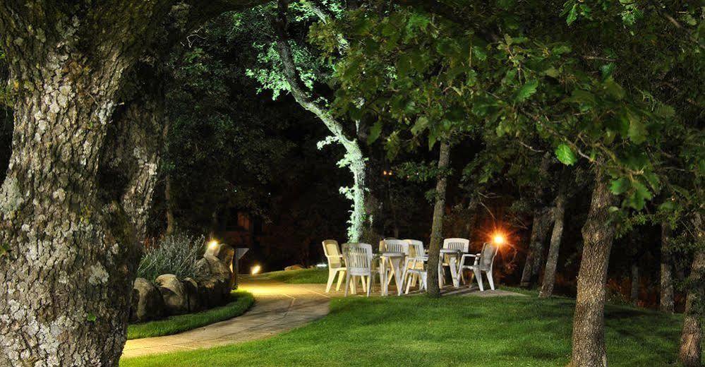 Terre Gialle - La Val D'Orcia Nascosta Castel del Piano  Kültér fotó